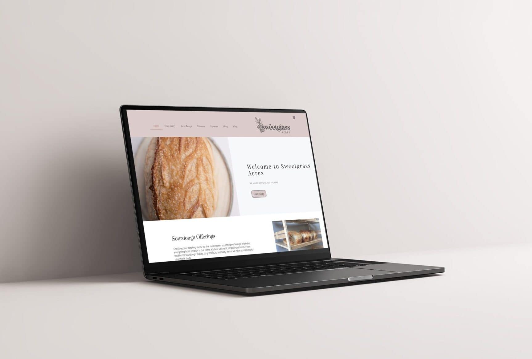 Web design in South Dakota project for small business